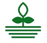 Ettari coltivati